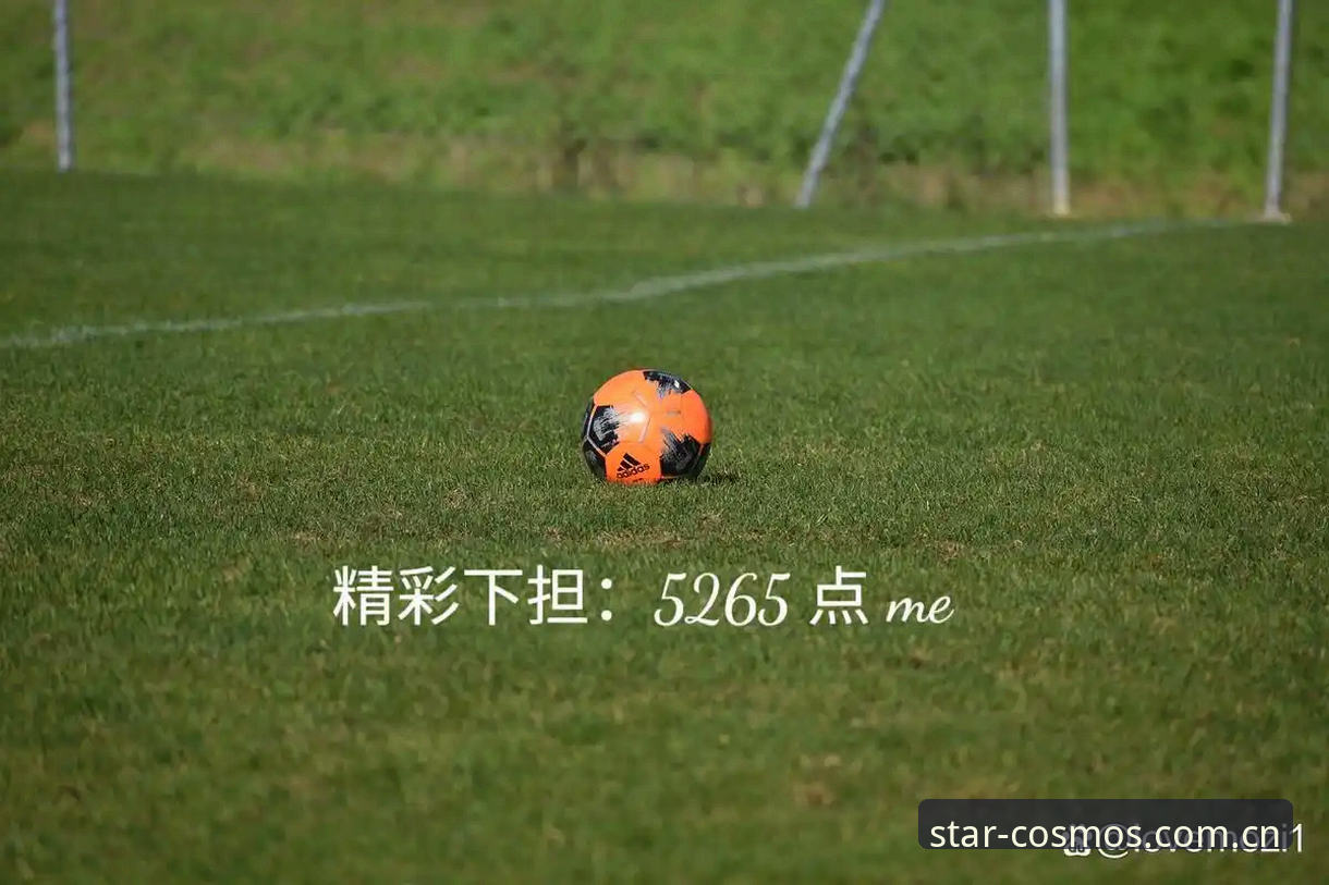 星空体育2026新版 星空体育2026新版升级全解析:从下载到登录的实用指南
